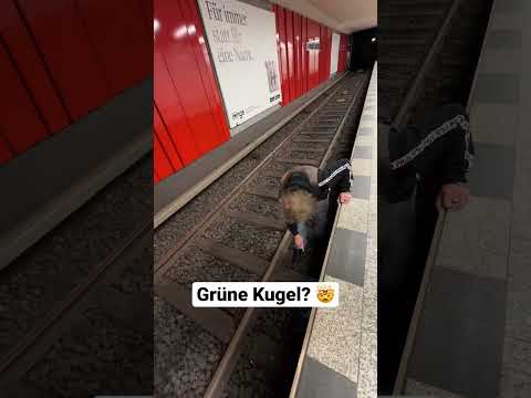 Video: Was tun, wenn man Dinge in der U-Bahn vergessen hat?