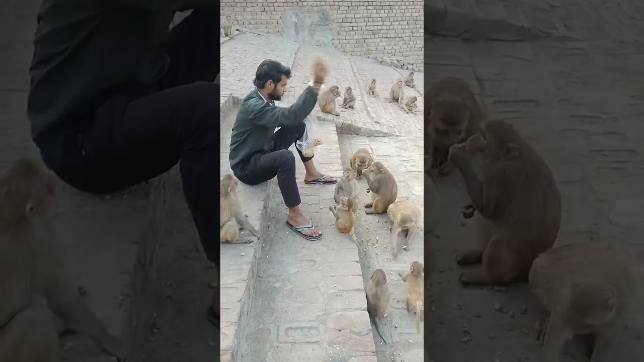 Jai baba bajrang Bali ❤️