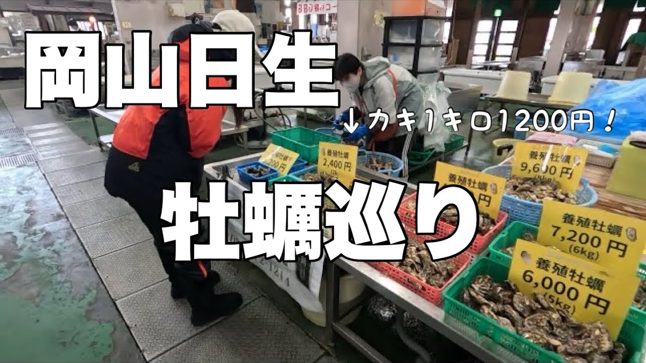 【日生牡蠣巡り】今年は大変との話ですが…