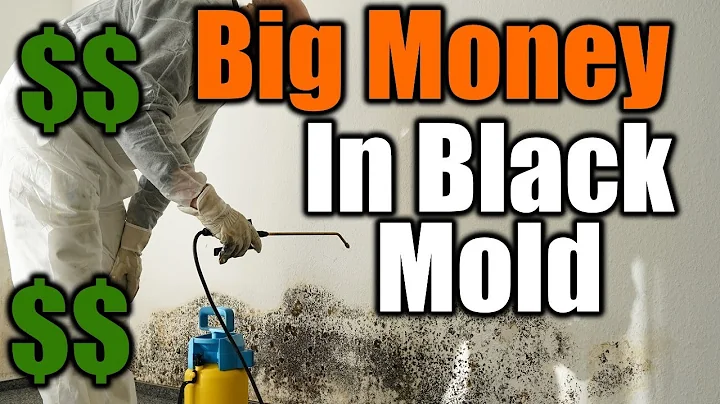 Uncover the Secrets: Making Big Money in Mold Remediation