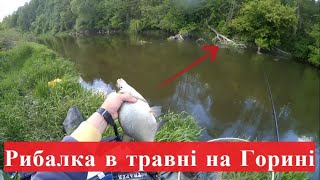 видео: РИБАЛКА НА Р.ГОРИНЬ. СИЛЬНА ТЕЧІЯ І КОРЯЖНИК, ОСЬ ДЕ Є РИБА!!! картинка: РИБАЛКА НА Р.ГОРИНЬ. СИЛЬНА ТЕЧІЯ І КОРЯЖНИК, ОСЬ ДЕ Є РИБА!!!