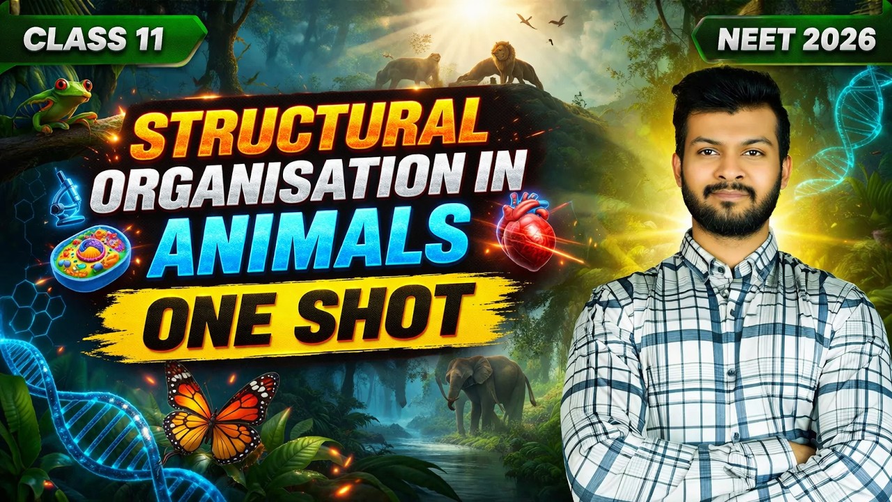 Structural Organisation in Animals NEET ONE SHOT - YouTube