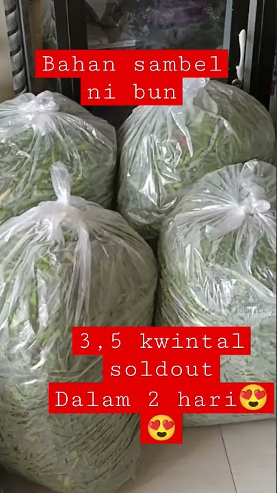 cabe rawit membludak, jual murah
