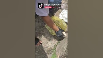 Thông tắc cống, camera nội soi, hút hầm cầu tại Buôn Mê Thuột - Daklak #giangnguyen24h #0964719719