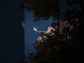 The Weeknd - Blinding Lights(lyrics)"I'm blinded by the lights"||#theweeknd #blindinglights #shorts🎧