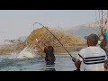 It&#39;s Really Unbelievable fishing To Catch Big Fishes|Catching The Big Rohu fishes in Singal Big Hook