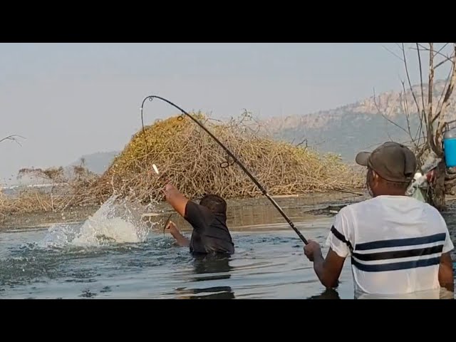 Amazing big nets catch hundreds of tons of herring on the modern boat -  Biggest Fishing Net 