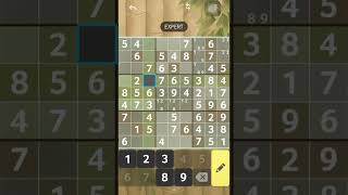 Brainium sudoku level: expert game 12