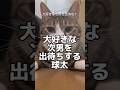 次男を大好き過ぎる球太 #cat #保護猫 #家族 #tiktok #猫のいる暮らし #球太 #猫 #イカ耳 #恋人 #癖強い #彼氏#恋人