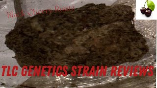 The TLC Genetic Show : Black Cherry Runtz (Strain Review)