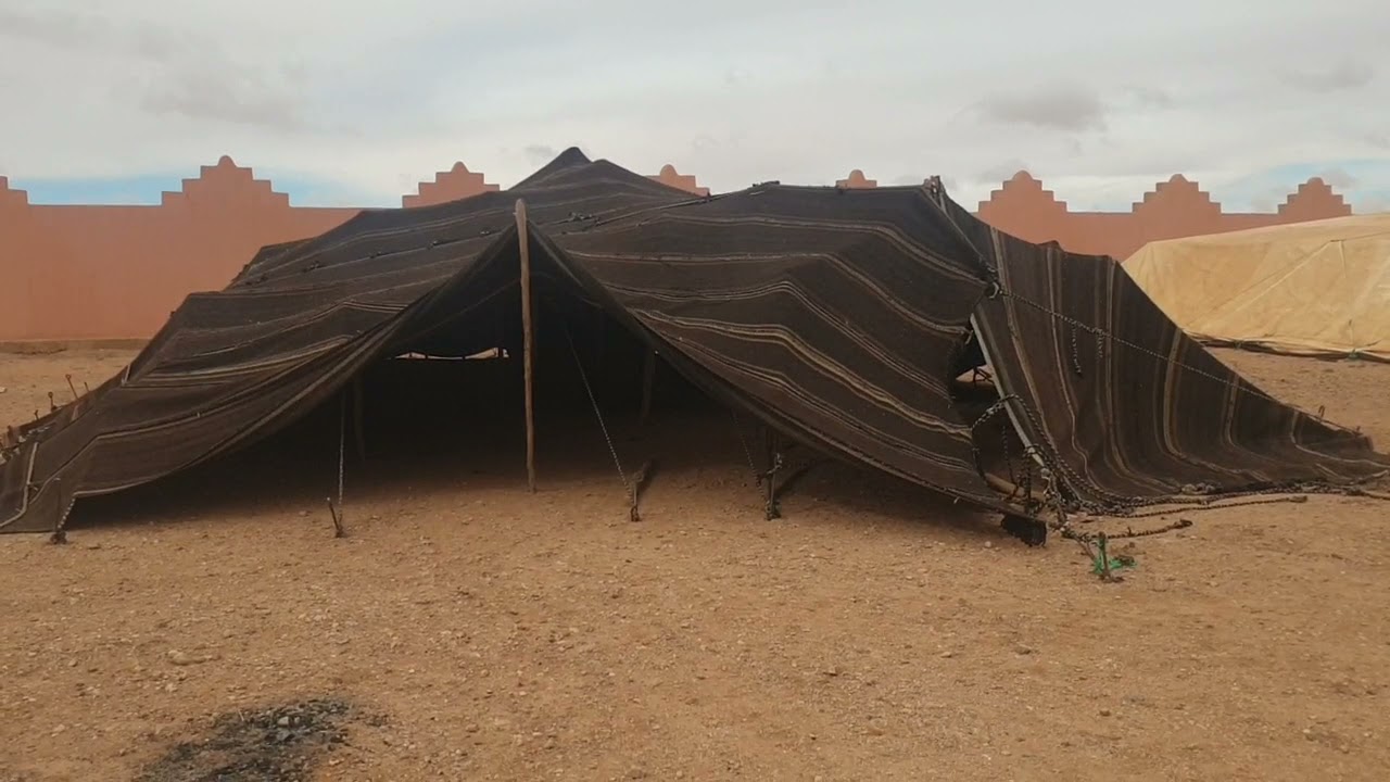 حضرة بدوية و الصلاة على نبينا هو شفيع كل مسلم و صلاتو في القلوب زينة حبه مولانا العالم