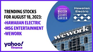 Hawaiian Electric, MSG Entertainment, WeWork: Trending stocks August 18, 2023