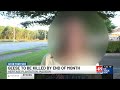 Another Madison HOA votes to euthanize hundreds of neighborhood geese; will be done by end of Jun...