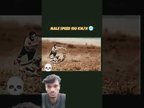 💥cheetah vs deer 💫 #viral #trending #shorts#racing#ai