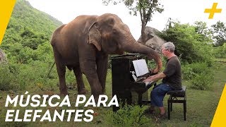 Música para elefantes