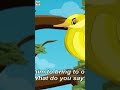 Birds Stories | 🎃Short Stories For Kids With Moral | English Stories | #ytshorts | KIDS VIDEO SHOW