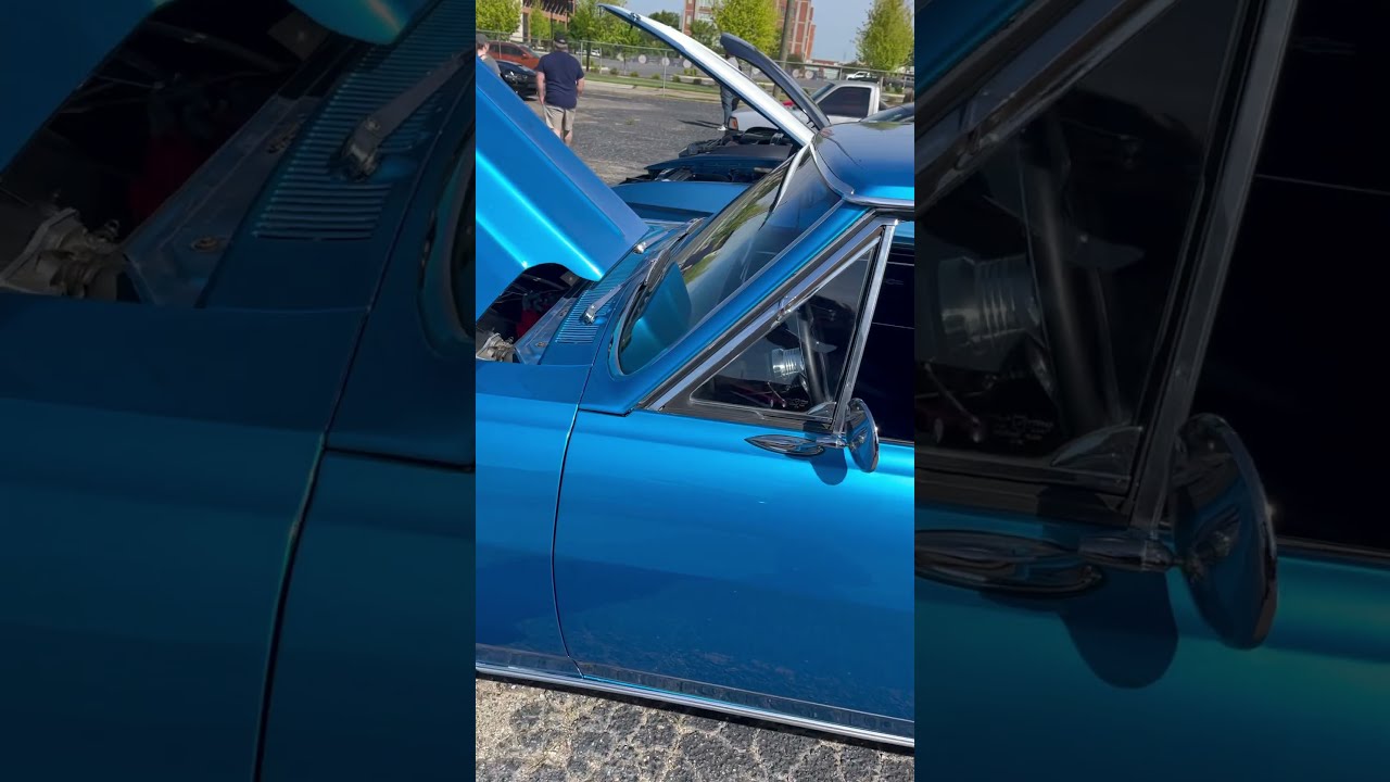 Massive 540 Cubic Inch Big Block 1965 Chevelle SS Musclecar Bigblocks Chevy Chevelless Malibu