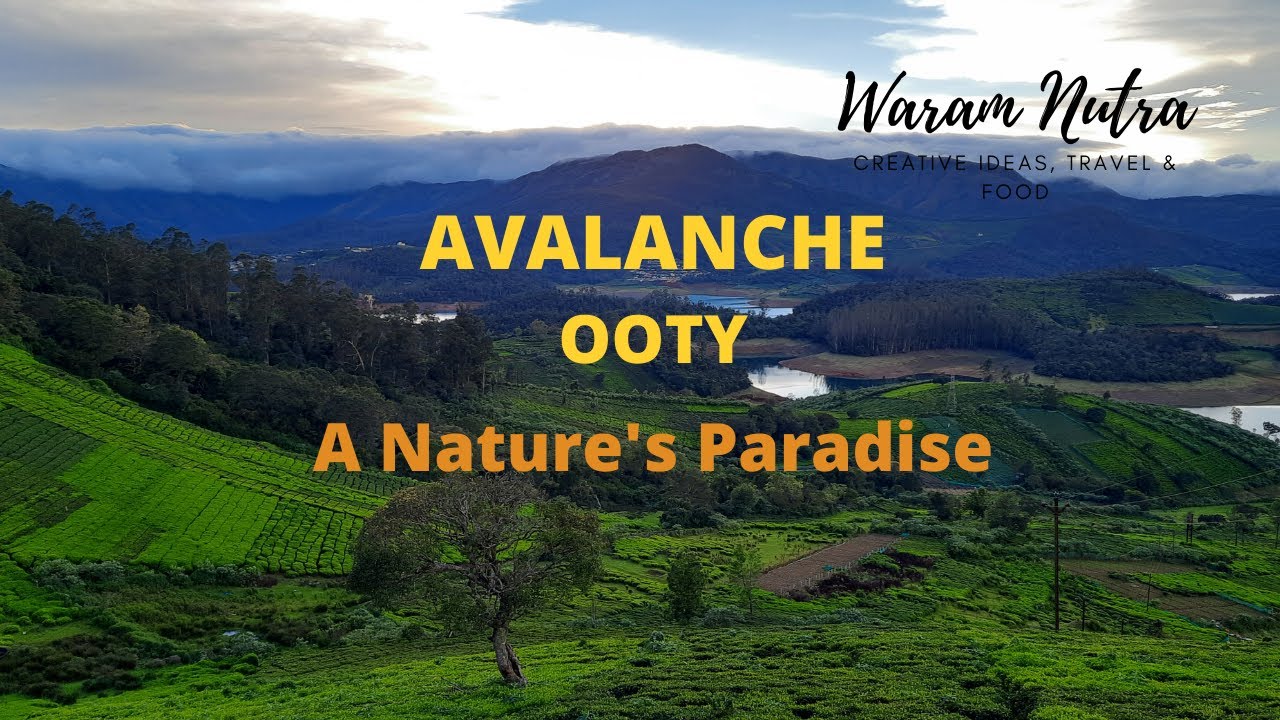 avalanche ooty places to visit