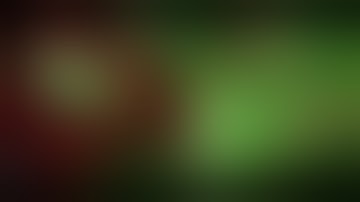 Fallout 4 The Story Wealth Mod Collection featuring Paine