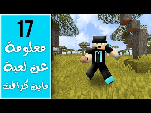 17 معلومة ما تعرفها عن ماين كرافت