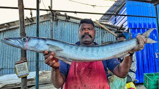 Download Lagu KASIMEDU SPEED SELVAM BIG SHEELA FISH CUTTING VIDEO  MP3 Download Lagu KASIMEDU SPEED SELVAM BIG SHEELA FISH CUTTING VIDEO  MP3