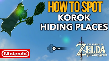 How to Spot and Find ALL Korok Hiding Places in Zelda Breath of the Wild