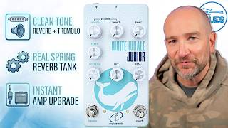 Ctc White Whale Jr - Ultimate Reverb & Tremolo (real Spring Reverb!)
