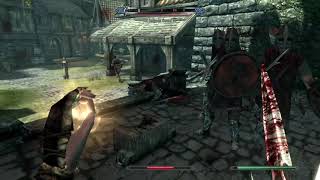 Skyrim SE - Solitude Guard Recognized Wife After Killing Her