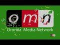 OMN ODUU GURRAANDHALA 10, 2026 Waraanni Oromiyaa keessatti adeemsifamuu miidhaa siyaas diinagdee fi