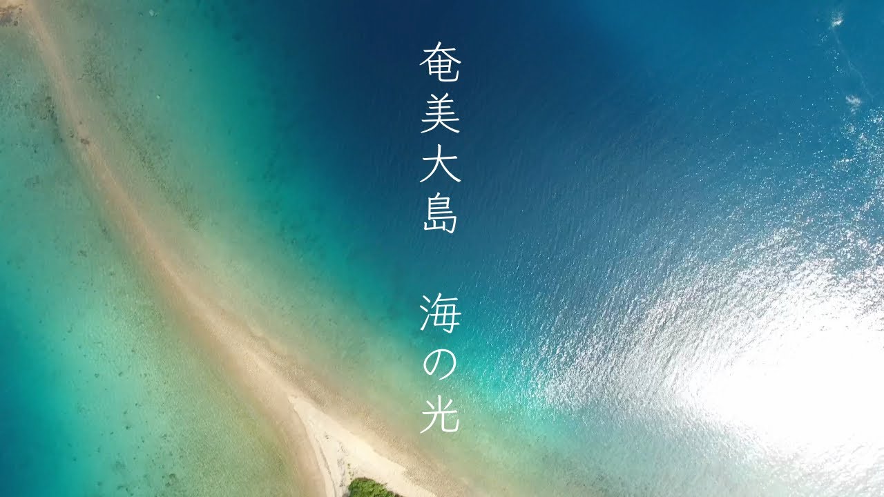 海の光