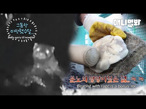 귀여운 수달을 좋게 좋게 돌려보내고 싶다면 마늘을 준비하세요ㅣGarlic And <strong>Ginger</strong> Will <strong>Kick</strong> Out The Otter..?