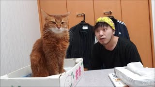 ウ〇チよりも大きくって茶色くってクサイの、みいつけた!
