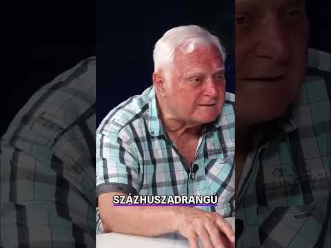 Pócs nem ellenfél Magyar Péternek