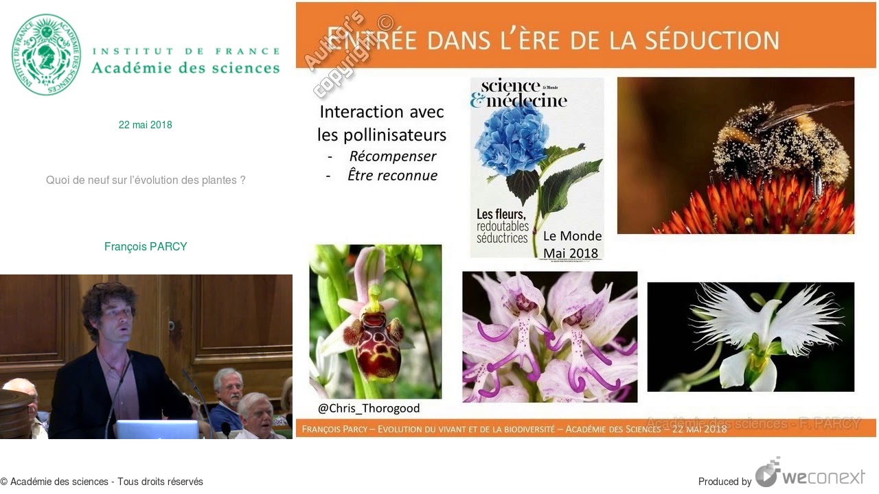 [Conférence] F. PARCY - Quoi de neuf sur l’évolution des plantes ?
