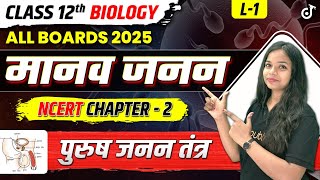 मानव जनन | Human Reproduction | Class 12th Biology CH 2 | पुरुष जनन तंत्र | Male Reproductive System