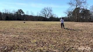 Angle Back Casting drills & Blinds