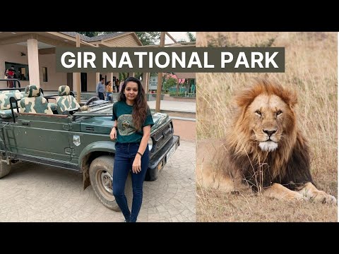 Gir National Park | Sasan Gir | Road Trip from Bhavnagar to Gir Sasan | Gir Forest | Eat Travel Fun