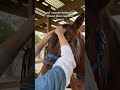 Volunteer with horses and children with disabilities at #gallopnyc #nyc #volunteer #horse