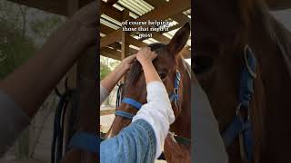 Volunteer with horses and children with disabilities at #gallopnyc #nyc #volunteer #horse