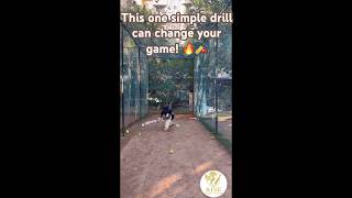Master Sweep & Reverse Sweep like a Pro 🏏🔥#cricket #battingskills #cricketlover #indiancricket