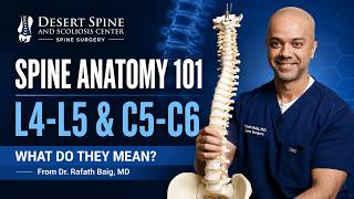 Spine Anatomy 101: What Does L4-L5 or C5-C6 Even Mean