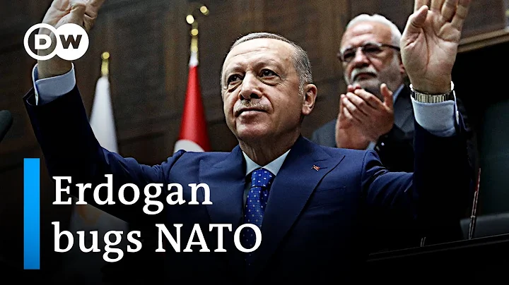 Why is Turkey still blocking Sweden and Finland from joining NATO? | DW News - DayDayNews