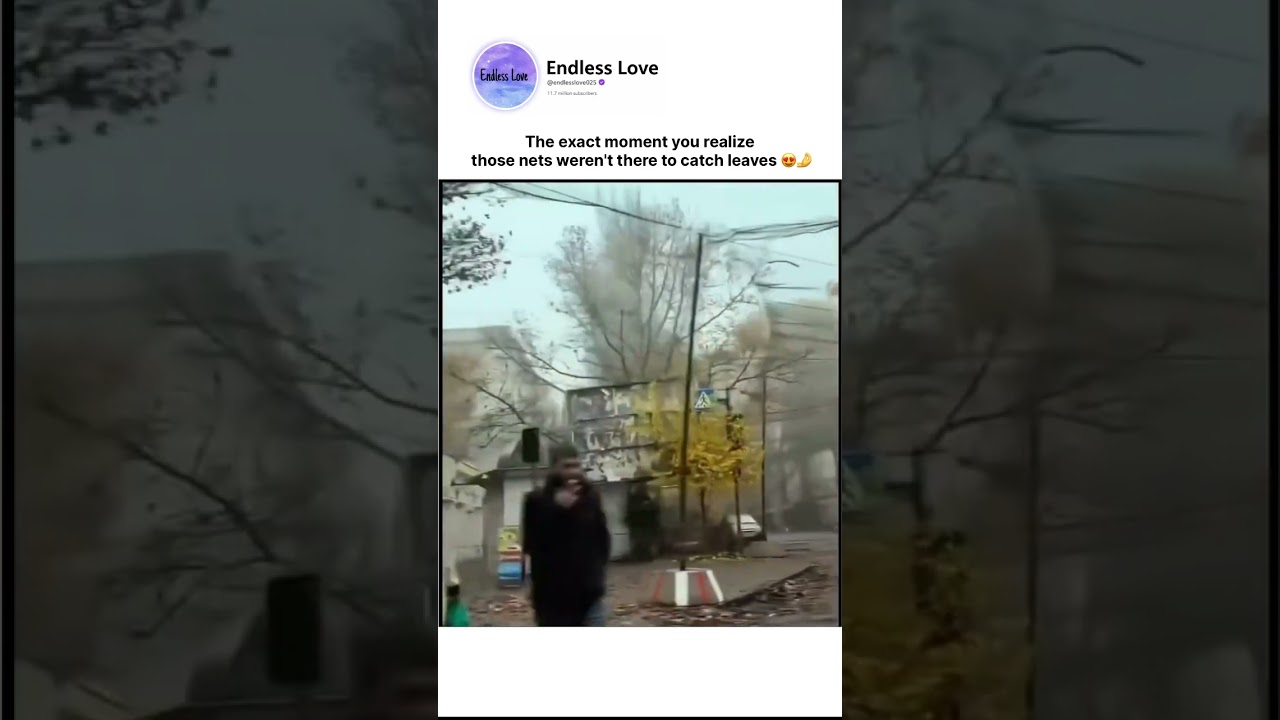 Watch When You Realize the Nets Weren’t for Leaves 🍁 on YouTube Watch When You Realize the Nets Weren’t for Leaves 🍁 on YouTube