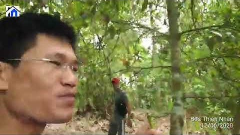 NVT759 Bán vườn trái cây ĐẸP xã Láng Lớn, huyện Châu Đức DT 9200m2, 300m2 thổ cư