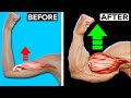 How To Build Your Biceps Fast (7 Effective Exercises)-تمارين البايسبس