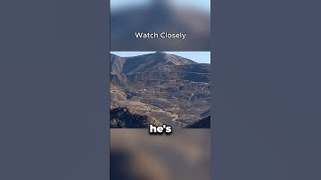 How Signal Mirror Save Lives