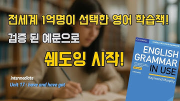 Grammar in Use Unit 17 | have / have got 예문 쉐도잉 | 영어 말하기 연습