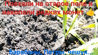 Поехали на старое место и накопали редких монет: Барабаны, Петры, чешуя...