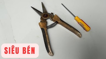 Cách Mài KÉO Tỉa Cành Này Siêu Bén (Sắc) Rất Hiệu Quả | Tóp 10 Sáng Tạo