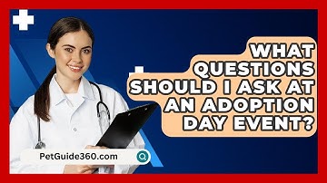 What Questions Should I Ask At An Adoption Day Event? - PetGuide360.com